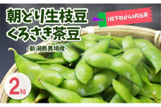 朝どり生枝豆 くろさき茶豆2kg 新潟県黒埼産 新潟市 枝豆 えだまめ えだ豆 茶豆