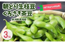 朝どり生枝豆 くろさき茶豆3kg 新潟県黒埼産 新潟市 枝豆 えだまめ えだ豆 茶豆