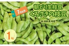 7月出荷 朝どり生枝豆 くろさきの枝豆1kg 新潟県黒埼産 新潟市 枝豆 えだまめ えだ豆