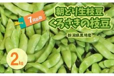 7月出荷 朝どり生枝豆 くろさきの枝豆2kg 新潟県黒埼産 新潟市 枝豆 えだまめ えだ豆