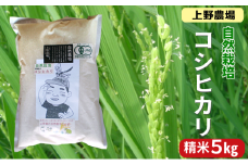 上野農場 自然栽培コシヒカリ 精米5kg お米 こしひかり 米 新潟市