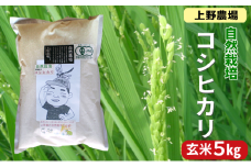 上野農場 自然栽培コシヒカリ 玄米5kg お米 こしひかり 米 玄米 新潟市