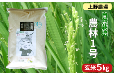 上野農場 自然栽培農林1号 玄米5kg お米 米 玄米 新潟市