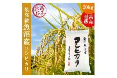 令和6年度産 新潟コシヒカリ20kg(5kg×4) 米 こしひかり 精米
