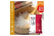 新之助 しんのすけ 20kg (5kg×4袋 )令和6年産 米 お米 精米