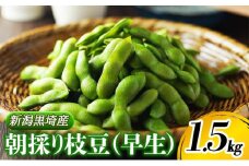 朝採り・新鮮・直送　新潟黒埼産　朝採り枝豆（早生）　1.5kg《6月下旬～7月下旬頃順次発送》 野菜 