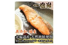 一塩鮭 （薄塩）　鮭 さけ サケ 天然 秋鮭 ミネラル塩 冷凍 真空パック 小分け 低脂肪　高たんぱく EPA DHA