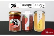 トマトピューレ「極」、苺（越後姫）、ル・レクチェジャムセット とまと トマト ソース いちご 洋ナシ ジャム セット お取り寄せ 新潟市