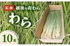 国産越後の青刈り わら10束 青わら しめ飾り インテリア ハンドメイド 国産 新潟 越後
