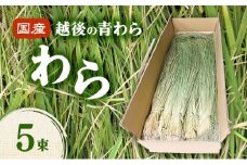 国産越後の青刈り わら5束 青わら しめ飾り インテリア ハンドメイド 国産 新潟 越後