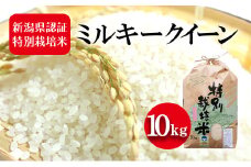 令和7年度産　新潟県認証特別栽培米 ミルキークイーン 10kg お米 白米 ライス 精米 ご飯 新潟県産 新潟市産 おにぎり お弁当 和食 ブランド米 低アミロース 粘り モチモチ 硬くなりにくい 