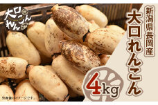 75T-02【大口れんこん】新潟県長岡産レンコン4kg