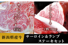 76-57A新潟県産牛（長岡産）サーロインステーキ450g＆ランプステーキ2枚（計300g）