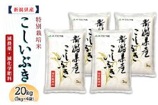 75-BK201新潟県長岡産特別栽培米こしいぶき20kg（5kg×4袋）【2025年3月上旬～下旬発送】