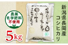 25-6S051【精米】新潟県長岡産「有機栽培」コシヒカリ5kg