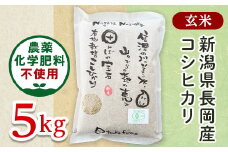 25-6G051【玄米】新潟県長岡産「有機栽培」コシヒカリ5kg