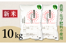 E1-S101B新潟県産米コシヒカリ10kg