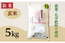 E1-G051A新潟県長岡産コシヒカリ玄米5kg