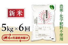 E1-S056B【6ヶ月連続お届け】新潟県長岡産コシヒカリ5kg