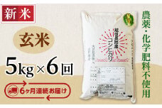 E1-G056A【6ヶ月連続お届け】新潟県長岡産コシヒカリ玄米5kg