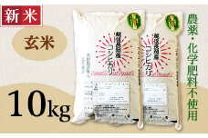 E1-G101A新潟県長岡産コシヒカリ玄米10kg