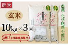 E1-G103A【3ヶ月連続お届け】新潟県長岡産コシヒカリ玄米10kg