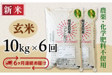 E1-G106A【6ヶ月連続お届け】新潟県長岡産コシヒカリ玄米10kg