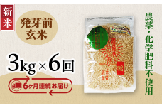 E1-H036A【6ヶ月連続お届け】新潟県長岡産コシヒカリ 発芽前玄米 3kg