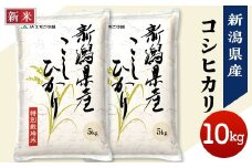 75-7N101新潟県長岡産コシヒカリ10kg（特別栽培米）【2025年10月下旬発送】