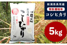 48-N051新潟県長岡産特別栽培米コシヒカリ5kg