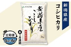 75-7N036【6ヶ月連続お届け】新潟県長岡産コシヒカリ3kg（特別栽培米）【2025年10月中旬発送開始】