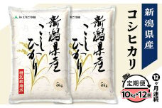 75-7N10Z【12ヶ月連続お届け】新潟県長岡産コシヒカリ10kg（特別栽培米）【2025年10月中旬発送開始】
