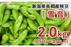 75E-17新潟県長岡産枝豆2.0kg【雪音250g×8袋入り】