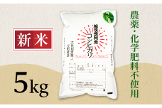 E1-S051B新潟県産米コシヒカリ5kg