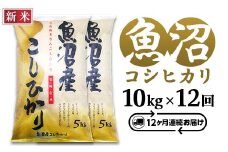 C2-7K10ZB【12ヶ月連続お届け】新潟県魚沼産コシヒカリ10kg（5kg×2袋）（長岡川口地域）