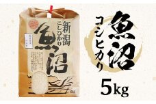 B7-K051新潟県魚沼産（長岡川口地域）コシヒカリ5kg