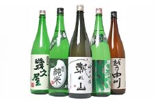 C1-92B越後銘門酒会 日本酒福袋（1800ml×5本）