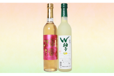 C1-77A長岡リキュールセット柚子＆梅酒（500ml×2本）