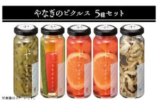 81-20やなぎのピクルス5本セット