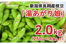 75E-14新潟県長岡産枝豆2.0kg【湯あがり娘250g×8袋入り】