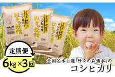 43-05【3ヶ月連続お届け】杜々の妖精コシヒカリ6kg（2kg×3袋）全国名水百選栃尾産