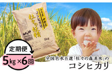 43-12【6ヶ月連続お届け】杜々の妖精コシヒカリ5kg（全国名水百選栃尾産）