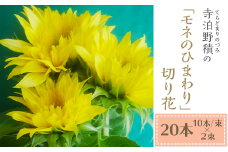 E0-03長岡産（寺泊野積）「モネのひまわり」切り花
