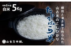 G3-6K05旧山古志村のこしひかり「たねすはら米」白米5kg（新潟県産コシヒカリ）