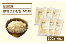 G8-24新潟県産はねうまもち（もち麦）500g×6袋入