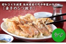 I7-04A昭和34年創業 地域密着の町中華屋が作る「金子のシソ餃子」