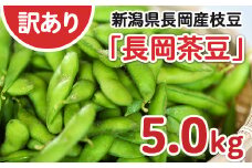 75E-B5A【訳あり】新潟長岡産枝豆長岡茶豆5.0kg【B品】