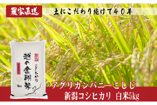 J8-6N051【越の金翔米】新潟県長岡産コシヒカリ5kg（特別栽培米）