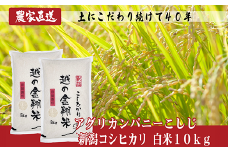 J8-6N101【越の金翔米】新潟県長岡産コシヒカリ10kg（特別栽培米）