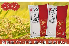 J8-6S101新潟県長岡産　新之助　10kg（5kg×2袋）